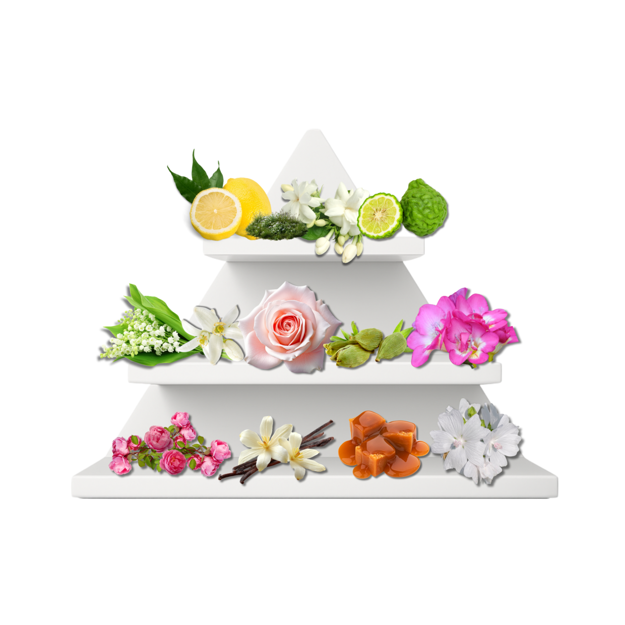 Casablanca Noir Duftpyramide